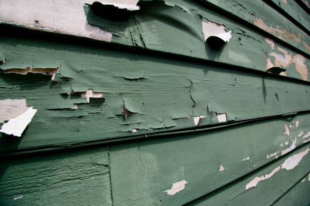  Smithville Sanders, IN Junk Removal Pros